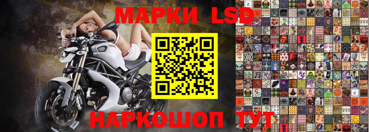 Марки N-bome 1500мкг Сланцы